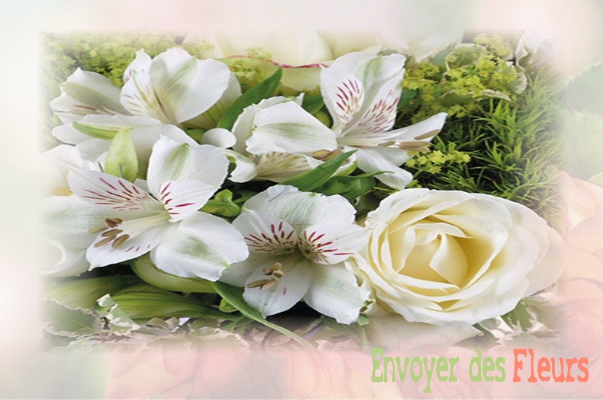 envoyer des fleurs à à VILLEDIEU-LES-POELES